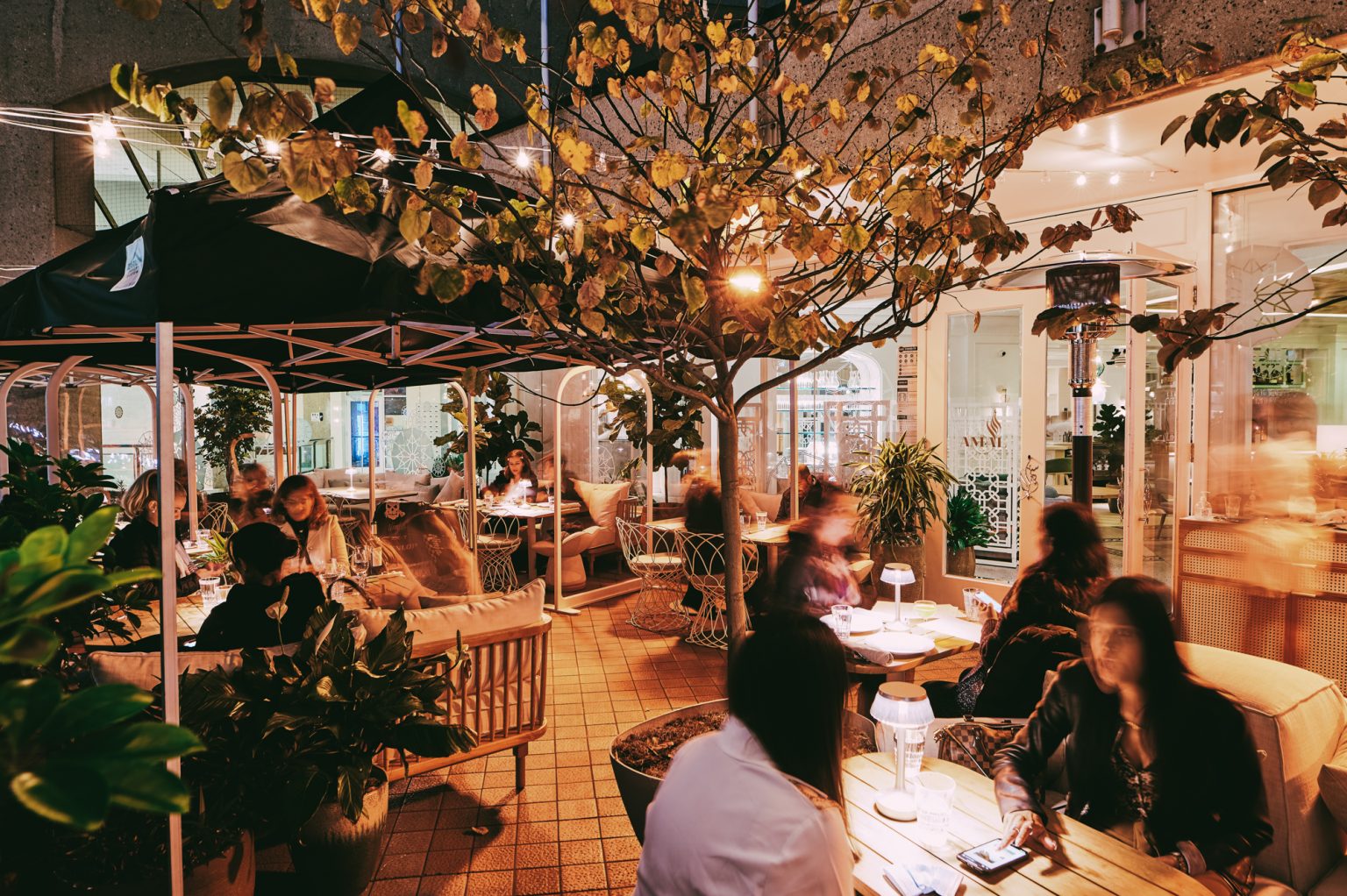 Best Winterized Patios in Yorkville Right Now The Curious Creature